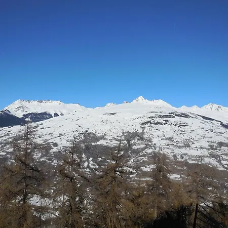 Cosy A La Plagne, Proche Pistes - Animaux Admis - Fr-1-353-50 Apartment La Plagne
